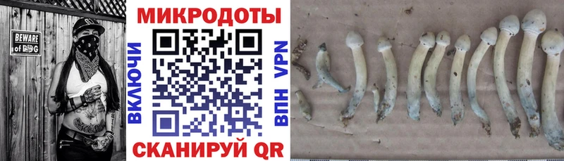 Галлюциногенные грибы Magic Shrooms  гидра ССЫЛКА  Холм 
